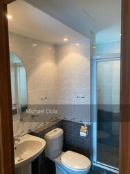 Spring Grove (D10), Condominium #258728421